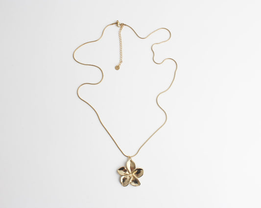 Shaïra - Collar - Acero inoxidable