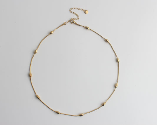 Mavi - Collar - Acero inoxidable