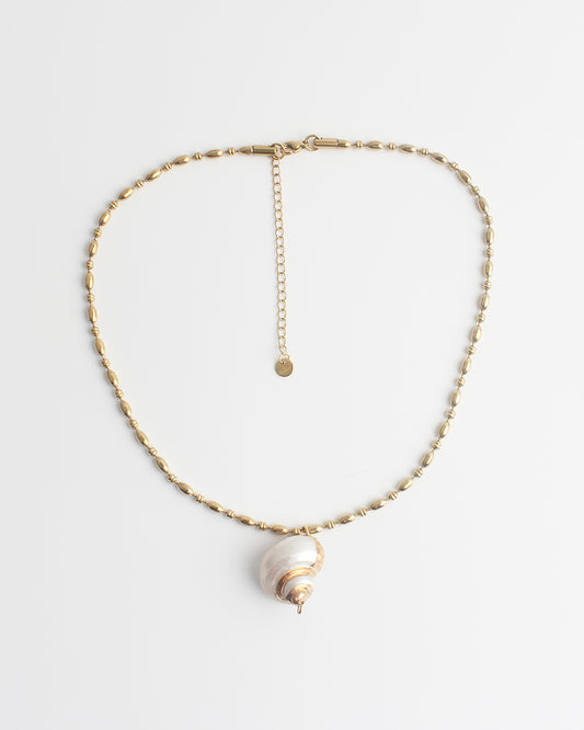 Sea Shell - Necklace - Stainless Steel