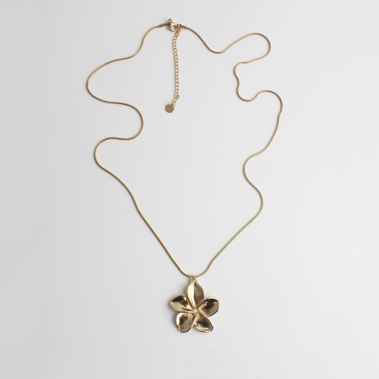 Shaïra - Collar - Acero inoxidable