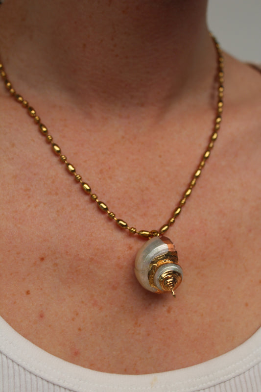 Sea Shell - Necklace - Stainless Steel